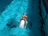 img-20170228-wa0004