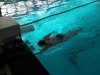img-20170228-wa0023