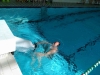 img-20170228-wa0032