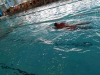 img-20170228-wa0041