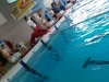 img-20170228-wa0044