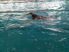 img-20170228-wa0046