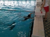 img-20170228-wa0047
