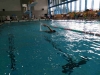 img-20170228-wa0059