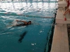 img-20170228-wa0066