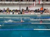 img-20250208-wa0015