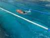 img-20250208-wa0018