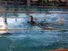 img_20211009_120712